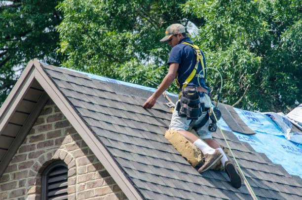 Roof Gutter Cleaning in Luther, OK